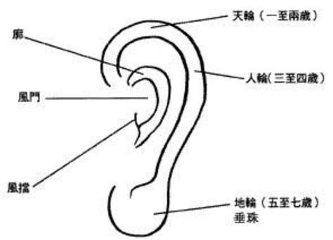 面相 耳朵|面相入门